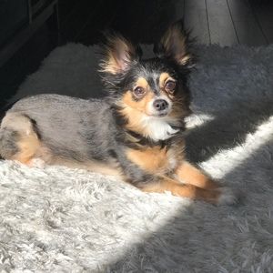 Meet your Posher, Belinda